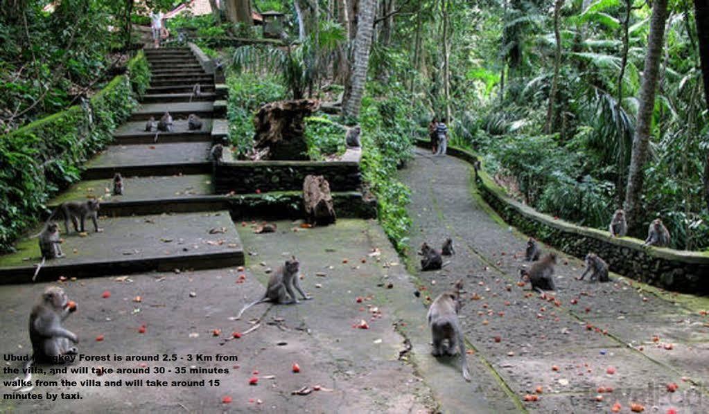 Villa Private Wayan